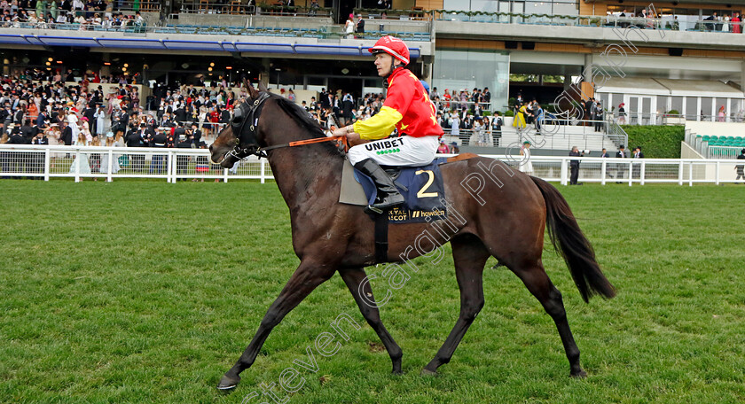 Artorius-0004 
 ARTORIUS (Jamie Spencer)
Royal Ascot 18 Jun 2022 - Pic Steven Cargill / Racingfotos.com