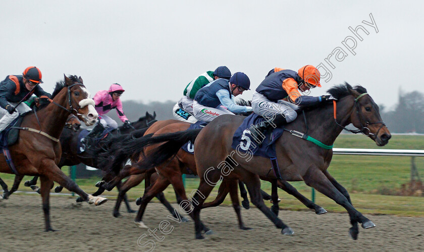 Pivotal-Flame-0004 
 PIVOTAL FLAME (Paddy Bradley) wins The Betway Casino Handicap Lingfield 14 Feb 2018 - Pic Steven Cargill / Racingfotos.com