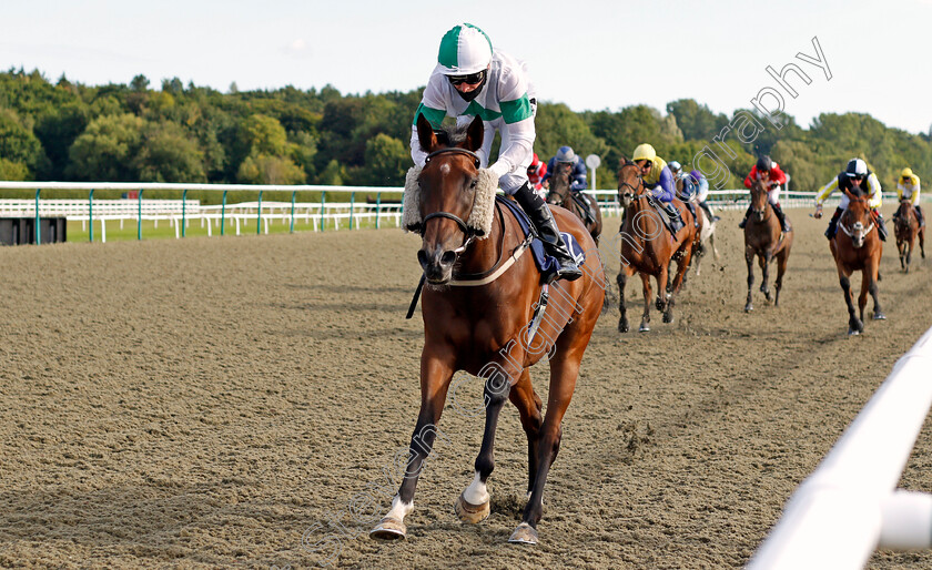 Sepia-Belle-0003 
 SEPIA BELLE (Kieran Shoemark) wins The Betway Casino Handicap
Lingfield 5 Aug 2020 - Pic Steven Cargill / Racingfotos.com