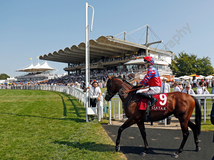 Big-Evs-0016 
 BIG EVS (Tom Marquand) winner of The King George Qatar Stakes
Goodwood 2 Aug 2024 - Pic Steven Cargill / Racingfotos.com