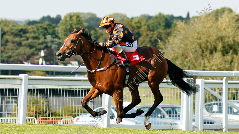 Crownthorpe-0004 
 CROWNTHORPE (Silvestre De Sousa) wins The BetBright Nursery Sandown 2 Sep 2017 - Pic Steven Cargill / Racingfotos.com