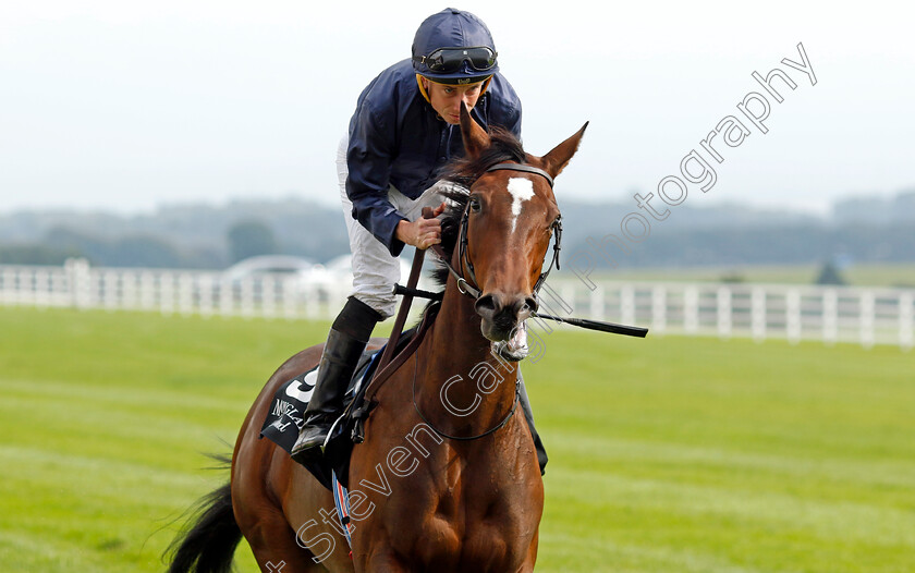 Ylang-Ylang-0003 
 YLANG YLANG (Ryan Moore)
The Curragh 10 Sep 2023 - Pic Steven Cargill / Racingfotos.com