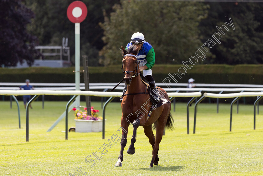 Montbeliade-0001 
 MONTBELIARDE (Neil Callan)
Nottingham 19 Jul 2024 - Pic Steven Cargill / Megan Dent / Racingfotos.com