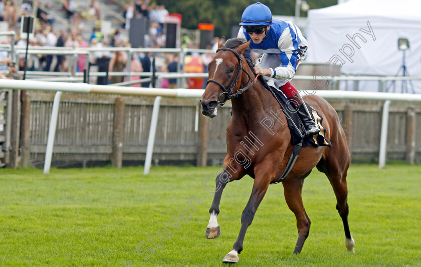 Les-Bleus-0008 
 LES BLEUS (David Egan) wins The British Stallion Studs EBF Restricted Novice Stakes
Newmarket 28 Jul 2023 - Pic Steven Cargill / Racingfotos.com