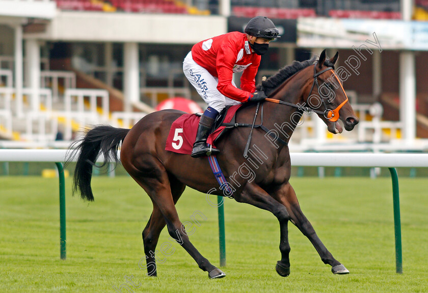 Emjaytwentythree-0001 
 EMJAYTWENTYTHREE (Jim Crowley)
Haydock 3 Sep 2020 - Pic Steven Cargill / Racingfotos.com