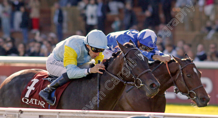 Ramadan-0003 
 RAMADAN (left, A Lemaitre) beats ANDROMEDE (right) in The Qatar Prix Daniel Wildenstein
Longchamp 5 Oct 2024 - Pic Steven Cargill / Racingfotos.com