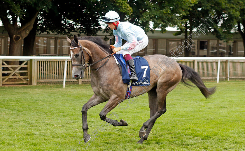 Mamma-Maria-0001 
 MAMMA MARIA (Cieren Fallon)
Newmarket 10 Aug 2024 - Pic Steven Cargill / Racingfotos.com