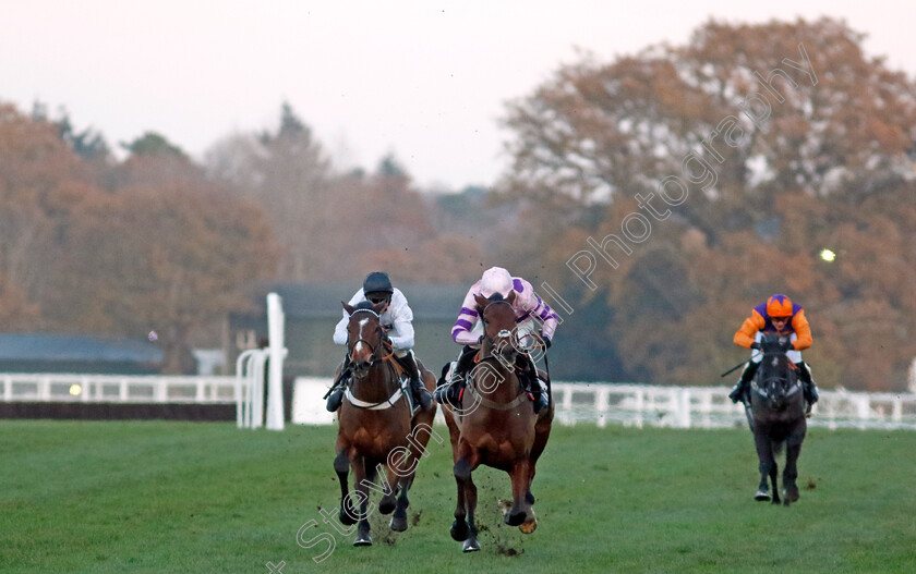 Regent s-Stroll-0005 
 REGENT'S STROLL (Harry Cobden) beats TRADECRAFT (left) in The Nirvana Spa Open National Hunt Flat Race
Ascot 25 Nov 2023 - Pic Steven Cargill / Racingfotos.com