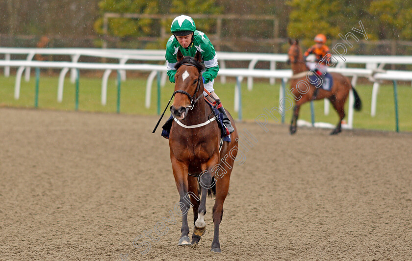 Greeneyedafghan-0001 
 GREENEYEDAFGHAN (Martin Dwyer) Lingfield 3 Feb 2018 - Pic Steven Cargill / Racingfotos.com