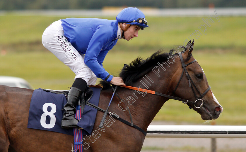 Silent-Hunter-0002 
 SILENT HUNTER (Hector Crouch)
Lingfield 4 Oct 2018 - Pic Steven Cargill / Racingfotos.com