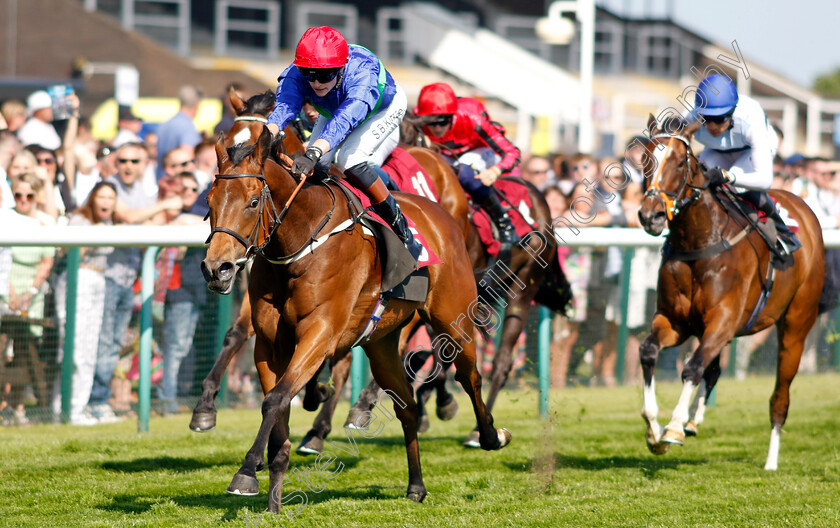 Spirit-Of-Applause-0001 
 SPIRIT OF APPLAUSE (Sean Kirrane) wins The Betfred Double Delight Edge Green Handicap
Haydock 27 May 2023 - pic Steven Cargill / Racingfotos.com