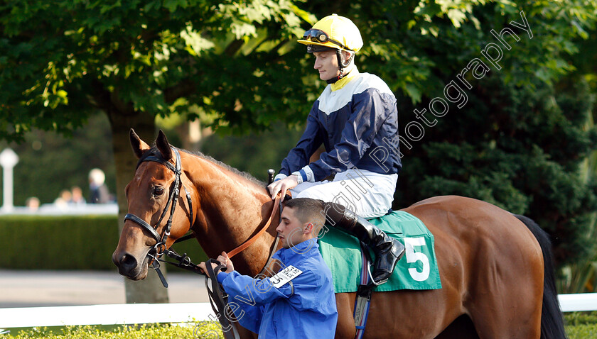 Undercolours-0002 
 UNDERCOLOURS (Daniel Muscutt)
Kempton 22 May 2019 - Pic Steven Cargill / Racingfotos.com