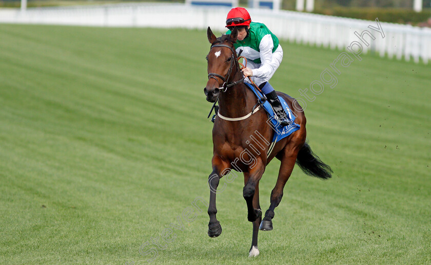 Country-Pyle 
 COUNTRY PYLE (Martin Dwyer)
Ascot 1 Oct 2021 - Pic Steven Cargill / Racingfotos.com