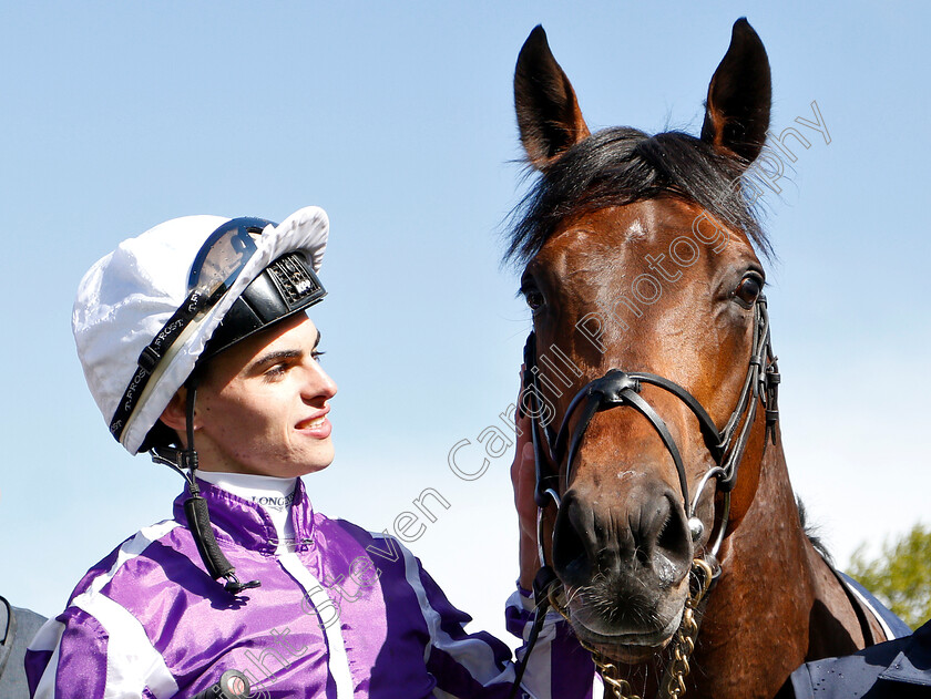 Magna-Grecia-0018 
 MAGNA GRECIA (Donnacha O'Brien) after The Qipco 2000 Guineas
Newmarket 4 May 2019 - Pic Steven Cargill / Racingfotos.com