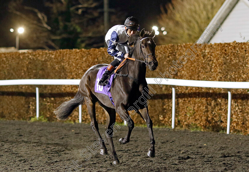 Sandhill-Dancer-0001 
 SANDHILL DANCER (Trevor Whelan)
Kempton 11 Dec 2024 - Pic Steven Cargill / Racingfotos.com