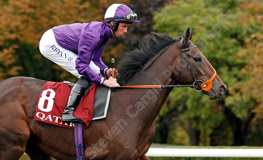 Mojo-Star-0001 
 MOJO STAR (Rossa Ryan)
Longchamp 3 Oct 2021 - Pic Steven Cargill / Racingfotos.com