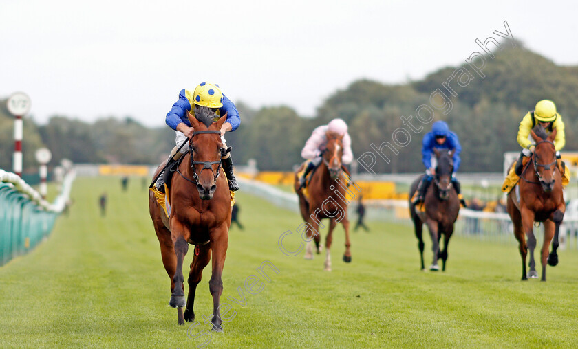 Favorite-Moon-0004 
 FAVORITE MOON (Andrea Atzeni) wins The Best Odds On Betfair Exchange Handicap
Haydock 5 Sep 2020 - Pic Steven Cargill / Racingfotos.com