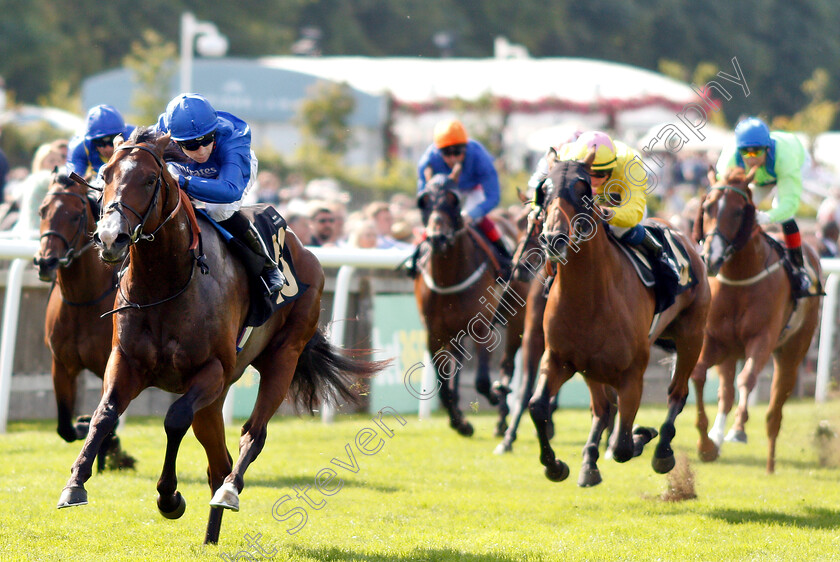 Light-And-Dark-0002 
 LIGHT AND DARK (Callum Shepherd) wins The Porsche Centre Cambridge Handicap
Newmarket 12 Jul 2019 - Pic Steven Cargill / Racingfotos.com