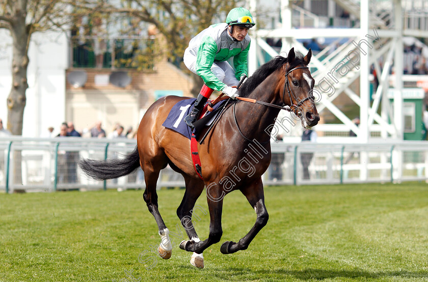 Lucipherus-0001 
 LUCIPHERUS (Gerald Mosse)
Yarmouth 23 Apr 2019 - Pic Steven Cargill / Racingfotos.com