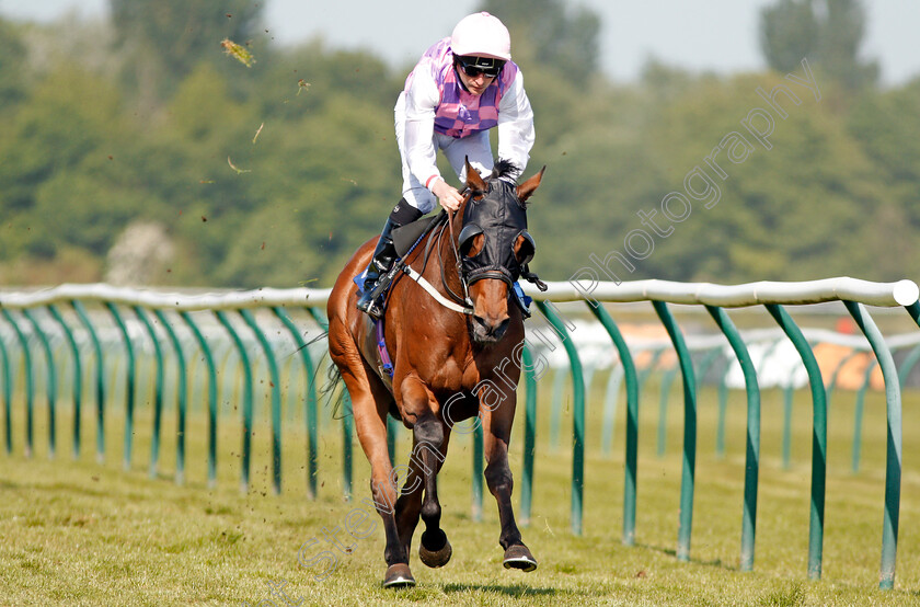 Northwest-Frontier-0006 
 NORTHWEST FRONTIER (Tony Hamilton) wins The Download The App At 188bet Handicap Nottingham 22 May 2018 - Pic Steven Cargill / Racingfotos.com