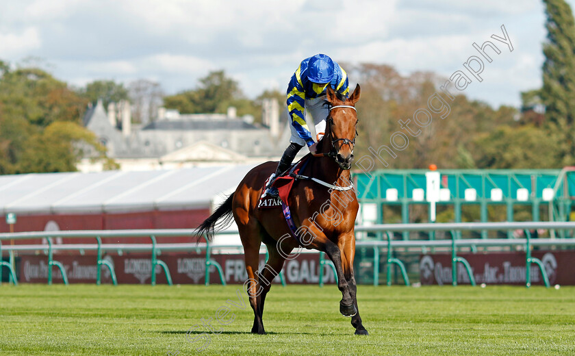 Trueshan-0002 
 TRUESHAN (James Doyle)
Longchamp 5 Oct 2024 - Pic Steven Cargill / Racingfotos.com