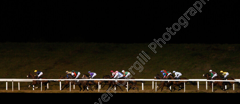 Chelmsford-0001 
 SWISS CHEER (right, Rob Hornby) at the rear down the back straight in The Bet toteswinger At totesport.com Handicap
Chelmsford 19 Nov 2019 - Pic Steven Cargill / Racingfotos.com