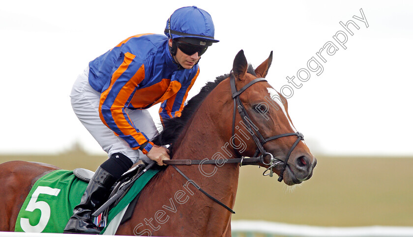 Royal-Dornoch-0003 
 ROYAL DORNOCH (Wayne Lordan) before The Juddmonte Royal Lodge Stakes
Newmarket 28 Sep 2019 - Pic Steven Cargill / Racingfotos.com