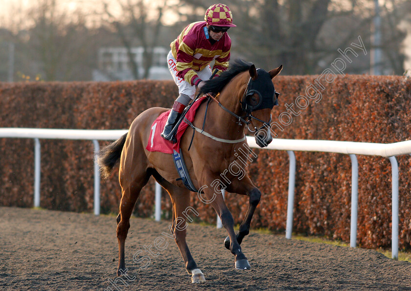 Anycity-0001 
 ANYCITY (Franny Norton)
Kempton 4 Jan 2019 - Pic Steven Cargill / Racingfotos.com