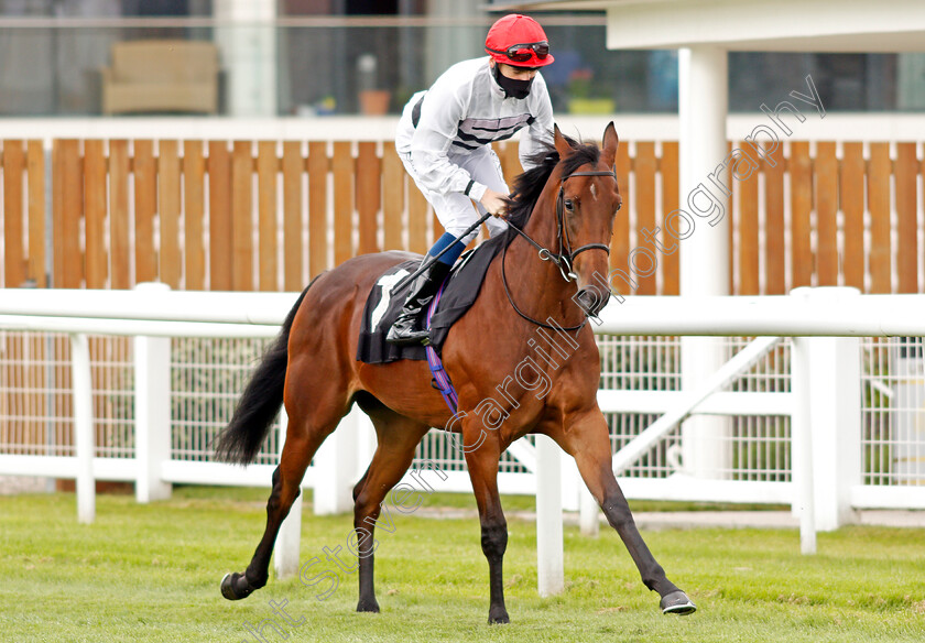 Cream-Of-The-Crop-0001 
 CREAM OF THE CROP (Callum Shepherd)
Newbury 19 Jul 2020 - Pic Steven Cargill / Racingfotos.com