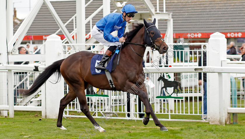 Corolla-Point-0006 
 COROLLA POINT (Dougie Costello) winner of The British EBF Novice Stakes
Yarmouth 22 Oct 2024 - Pic Steven Cargill / Racingfotos.com