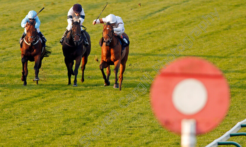 Equitation-0003 
 EQUITATION (right, Andrea Atzeni) beats FATHER MCKENZIE (left) in The Parkdean Resorts Creating Amazing Memories Handicap Yarmouth 20 Sep 2017 - Pic Steven Cargill / Racingfotos.com