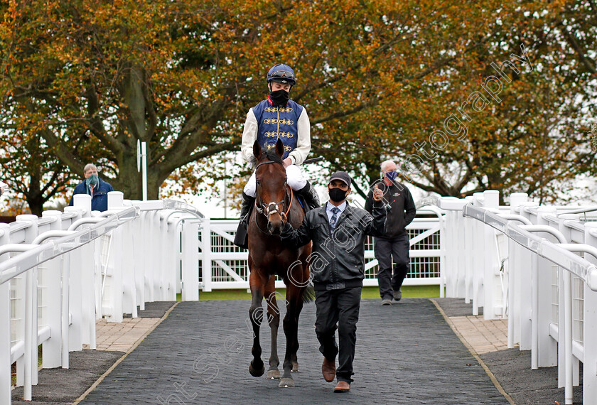 Beau-Jardine-0005 
 BEAU JARDINE (Eoin Walsh) after The Follow Mansionbet On Instagram British EBF Novice Stakes
Newmarket 30 Oct 2020 - Pic Steven Cargill / Racingfotos.com