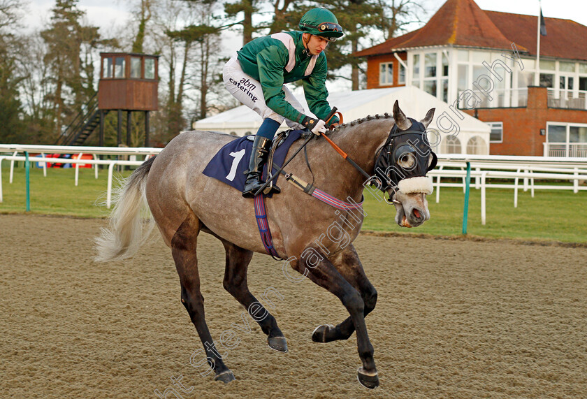 Something-Lucky-0001 
 SOMETHING LUCKY (Alistair Rawlinson) winner of The Betway Sprint Handicap Lingfield 10 Jan 2018 - Pic Steven Cargill / Racingfotos.com