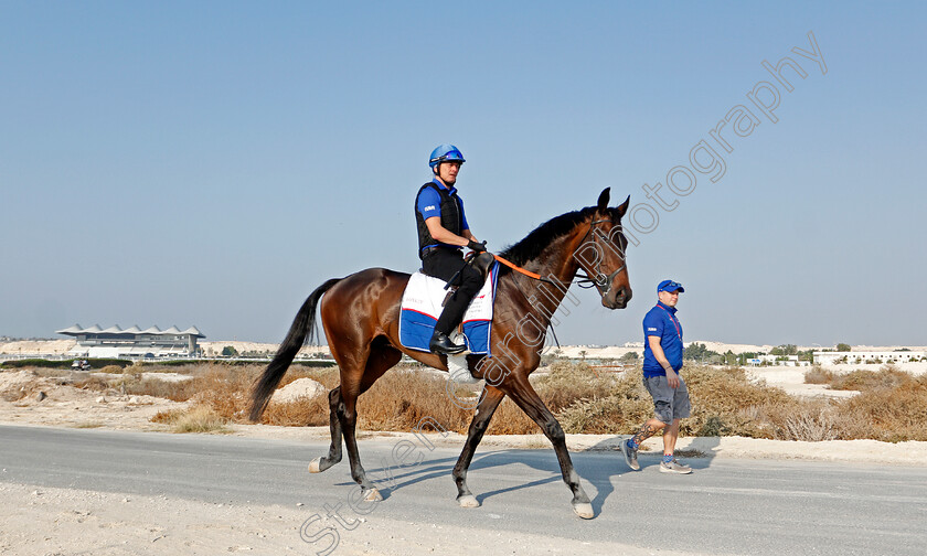 Loxley-0003 
 LOXLEY training for the Bahrain International Trophy
Rashid Equestrian & Horseracing Club, Bahrain, 19 Nov 2020 - Pic Steven Cargill / Racingfotos.com