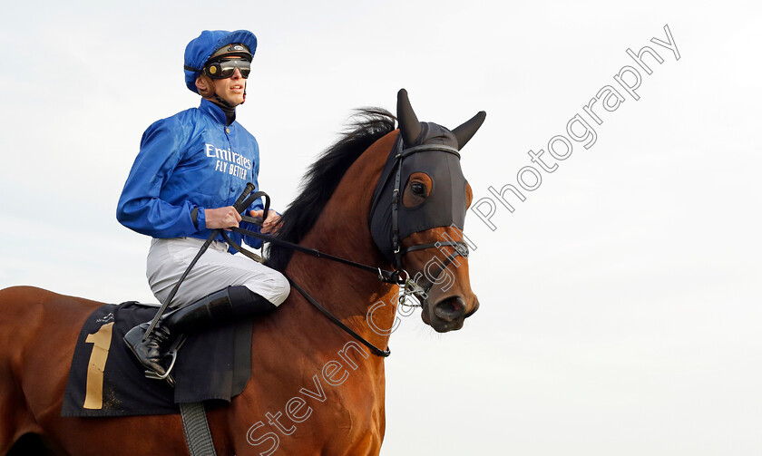 Royal-Fleet-0001 
 ROYAL FLEET (James Doyle)
Newmarket 29 Oct 2022 - Pic Steven Cargill / Racingfotos.com