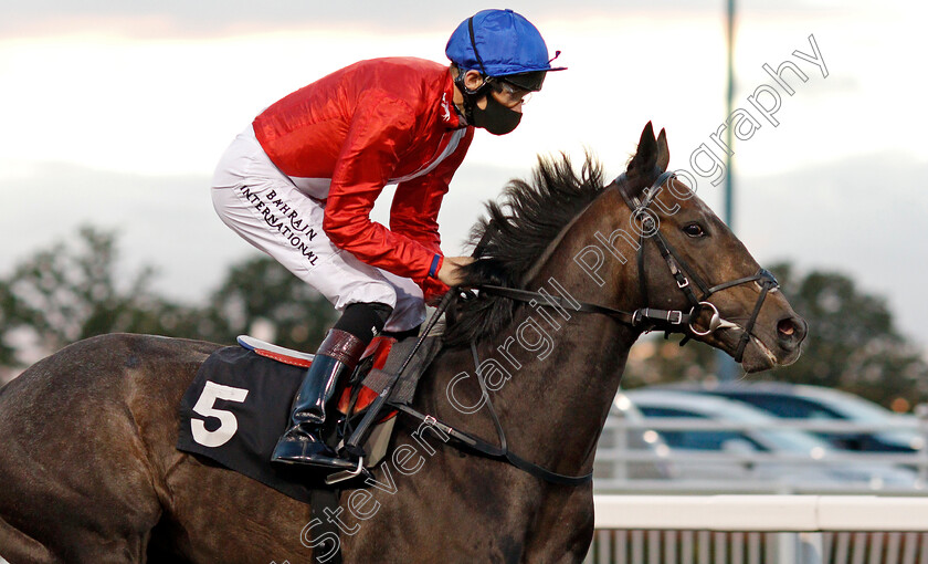 Fundamental-0001 
 FUNDAMENTAL (Robert Havlin) before winning The racingwelfare.co.uk EBF Novice Stakes
Chelmsford 15 Oct 2020 - Pic Steven Cargill / Racingfotos.com