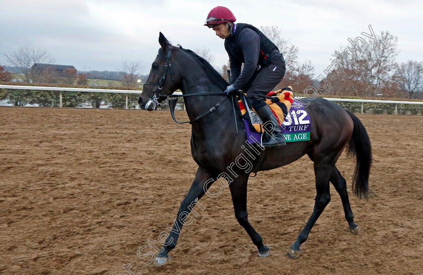 Stone-Age-0001 
 STONE AGE training for the Breeders' Cup Turf
Keeneland USA 1 Nov 2022 - Pic Steven Cargill / Racingfotos.com