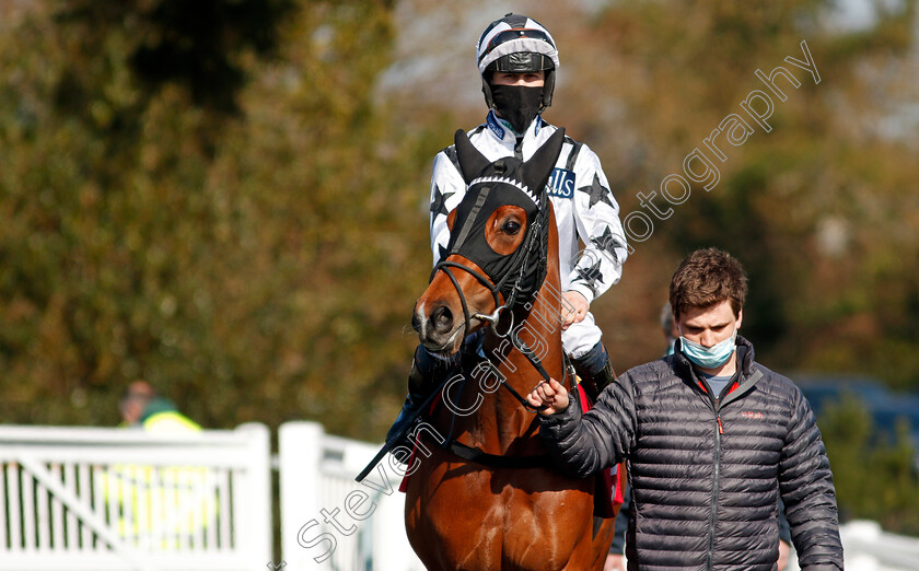 Silent-Queen-0001 
 SILENT QUEEN (Jason Hart)
Lingfield 2 Apr 2021 - Pic Steven Cargill / Racingfotos.com