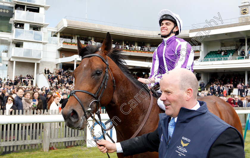 Magna-Grecia-0013 
 MAGNA GRECIA (Donnacha O'Brien) after The Qipco 2000 Guineas
Newmarket 4 May 2019 - Pic Steven Cargill / Racingfotos.com