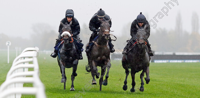 First-Street,-Epatante-and-Marie s-Rock-0002 
 FIRST STREET (centre, Nico de Boinville) with EPATANTE (right, Aidan Coleman) and MARIE'S ROCK (left, Adrian Heskin) at Coral Gold Cup Weekend Gallops Morning
Newbury 15 Nov 2022 - Pic Steven Cargill / Racingfotos.com