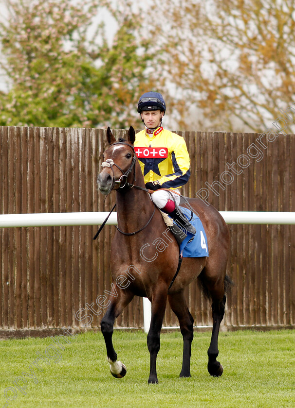 Spanish-Phoenix-0010 
 SPANISH PHOENIX (Oisin Murphy) winner of The Atlantic Pale Ale Maiden Stakes
Leicester 29 Apr 2023 - Pic Steven Cargill / Racingfotos.com