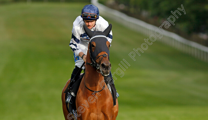 Come-On-You-Spurs-0001 
 COME ON YOU SPURS (Kieran O'Neill)
Newmarket 28 Jun 2024 - Pic Steven Cargill / Racingfotos.com