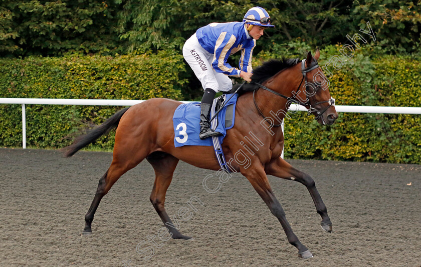 City-Of-Delight-0002 
 CITY OF DELIGHT (Kyle Strydom)
Kempton 8 Sep 2023 - Pic Steven Cargill / Racingfotos.com