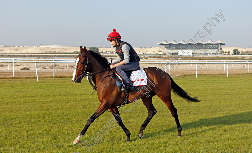 Cadillac-0004 
 CADILLAC (Shane Foley) exercising in preparation for Friday's Bahrain International Trophy
Sakhir Racecourse, Bahrain 17 Nov 2021 - Pic Steven Cargill / Racingfotos.com