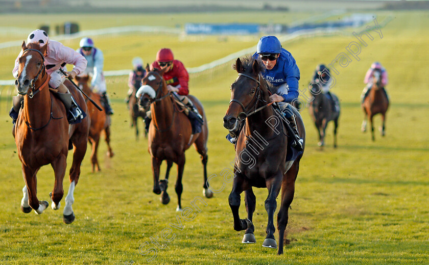 Brundtland-0004 
 BRUNDTLAND (William Buick) wins The Discover Newmarket Maiden Stakes Newmarket 25 Oct 2017 - Pic Steven Cargill / Racingfotos.com