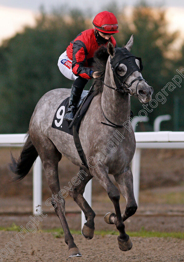 Solomons-Judgement-0001 
 SOLOMONS JUDGEMENT (Hollie Doyle)
Chelmsford 8 Oct 2020 - Pic Steven Cargill / Racingfotos.com