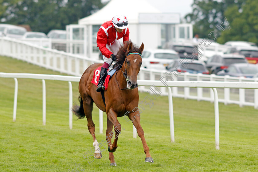 Shuwari-0009 
 SHUWARI (Oisin Murphy) winner of The European Bloodstock News EBF Star Stakes
Sandown 27 Jul 2023 - Pic Steven Cargill / Racingfotos.com