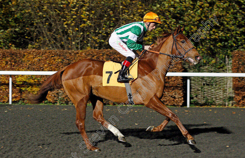 Ragstone-Ridge-0001 
 RAGSTONE RIDGE (Shane Kelly) Kempton 22 Nov 2017 - Pic Steven Cargill / Racingfotos.com