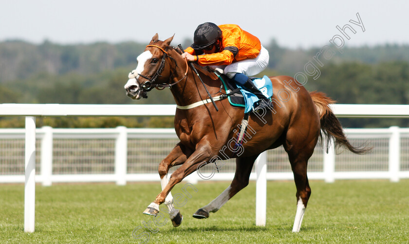 Speedo-Boy-0002 
 SPEEDO BOY (William Buick) wins The John Guest Racing Brown Jack Handicap
Ascot 23 Jul 2021 - Pic Steven Cargill / Racingfotos.com