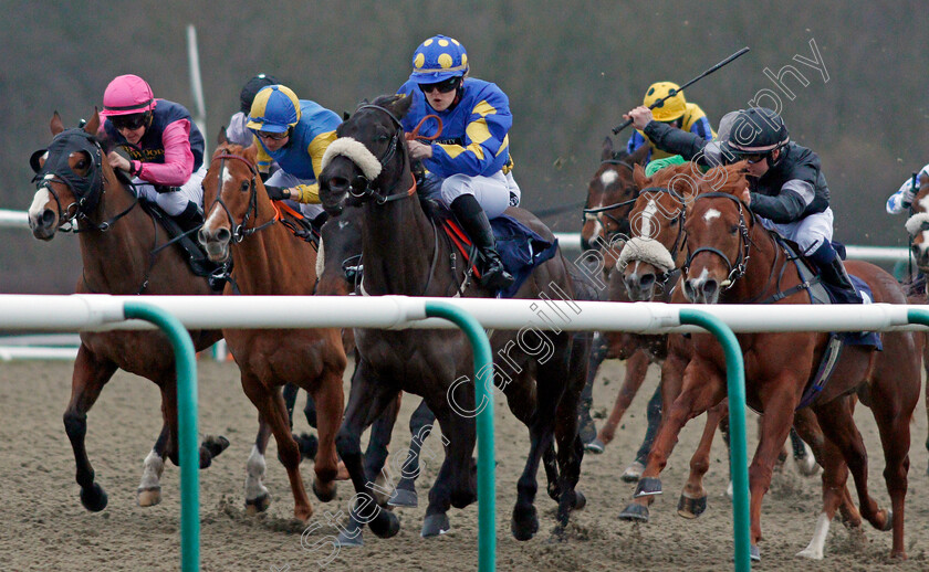 Jorvik-Prince-0001 
 JORVIK DANCE (centre, Georgia Dobie) with ASK THE GURU (left) PHAROH JAKE (2nd left) and ROUNDABOUT MAGIC (right) Lingfield 12 Jan 2018 - Pic Steven Cargill / Racingfotos.com